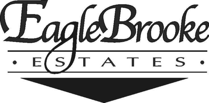 Eagle Brooke